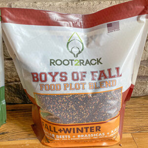 Boys of Fall
